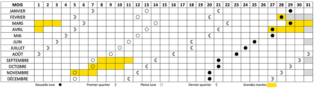 Dates des grandes marées 2025